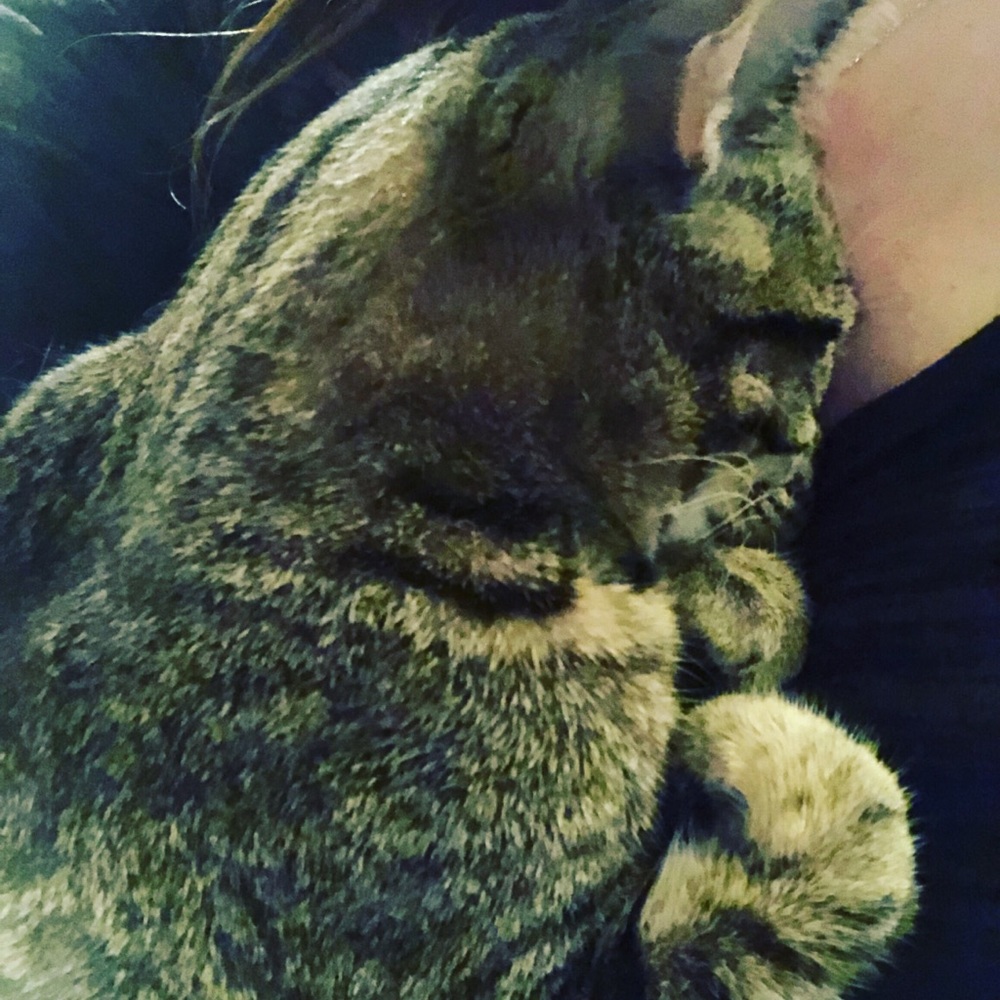 Meet your Posher, Jen